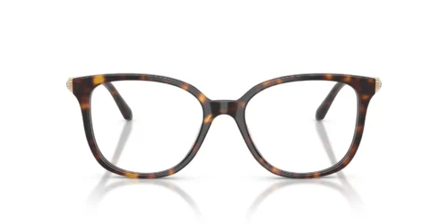 1002 - Havana frame / Clear lenses