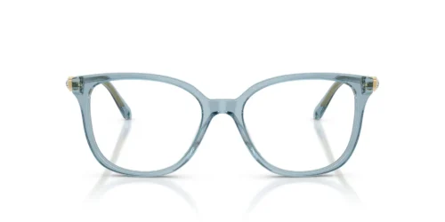 1108 - Transparent Light Blue frame / Clear lenses