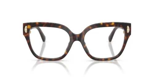 Swarovski  SK2076U Havana Frame