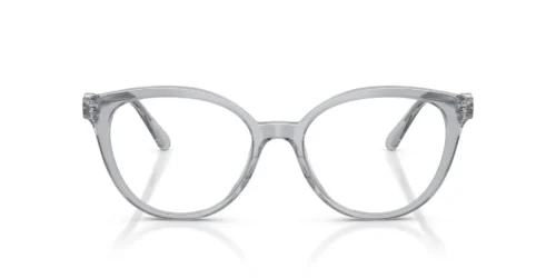 Swarovski  SK2078 Transparenter grauer Rahmen