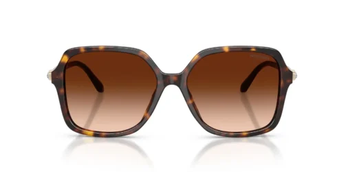 100274 - Havana frame / Gradient Brown lenses