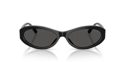 Swarovski  SK6069U Dark Grey