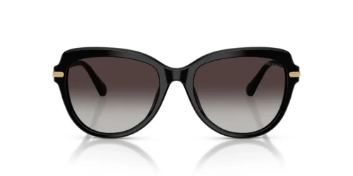 Swarovski  SK6073 Gradient Grey