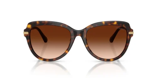 Swarovski  SK6073 Gradient Brown