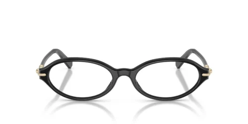 Tiffany  TF2297 Black Frame