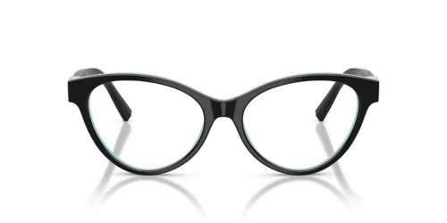 Tiffany  TF2302B Black On Tiffany Blue Frame