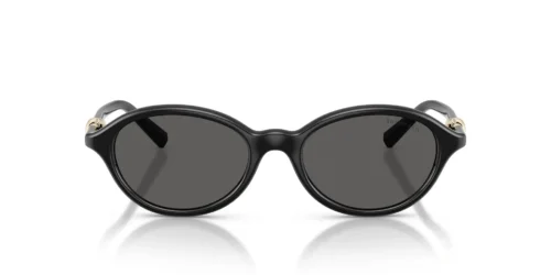 8001S4 - Black frame / DARK GREY lenses