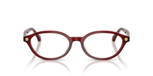 5540 - Transparent Bordeaux frame / Clear lenses