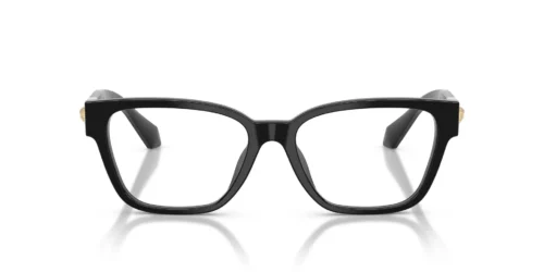 Versace  VE3401U Clear