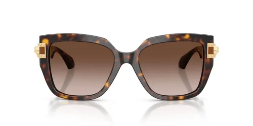 108/13 - Dark Havana frame / Brown Gradient lenses