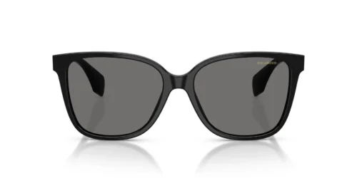 GB1/81 - Black frame / Dark Grey Polarized lenses