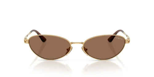 280/73 - Gold frame / Dark Brown lenses