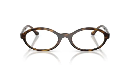 W656 - Dark Havana frame / Clear lenses