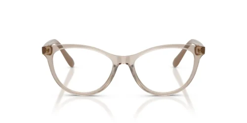 2990 - Transparent Caramel frame / Clear lenses