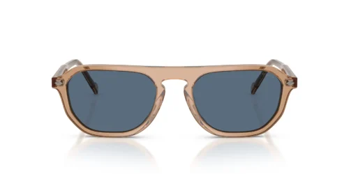 318980 - Transparent Brown frame / DARK BLUE lenses