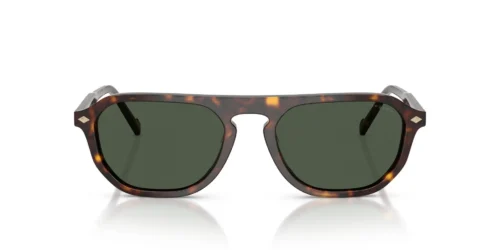 W6569A - Dark Havana frame / Dark Green Polarized lenses