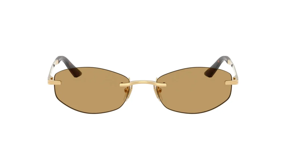 Versace  VE2308D Brown